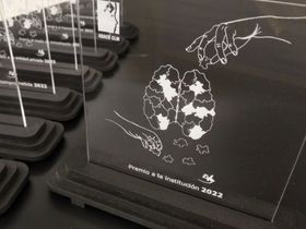 Los I Premios ADACE CLM, acto central de las más de 30 actividades organizadas por el Día del Daño Cerebral